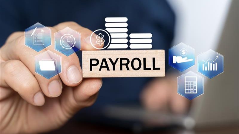 Web Blog - Top Reasons Your Business Needs a Payroll Solution